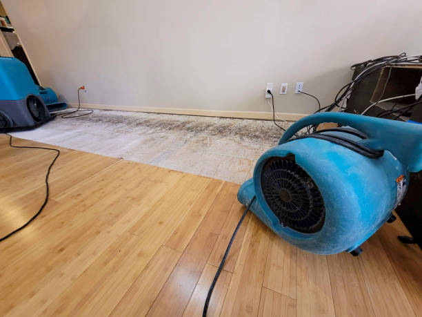 Professional Sewage Cleanup technician working in Wisconsin Rapids, WI